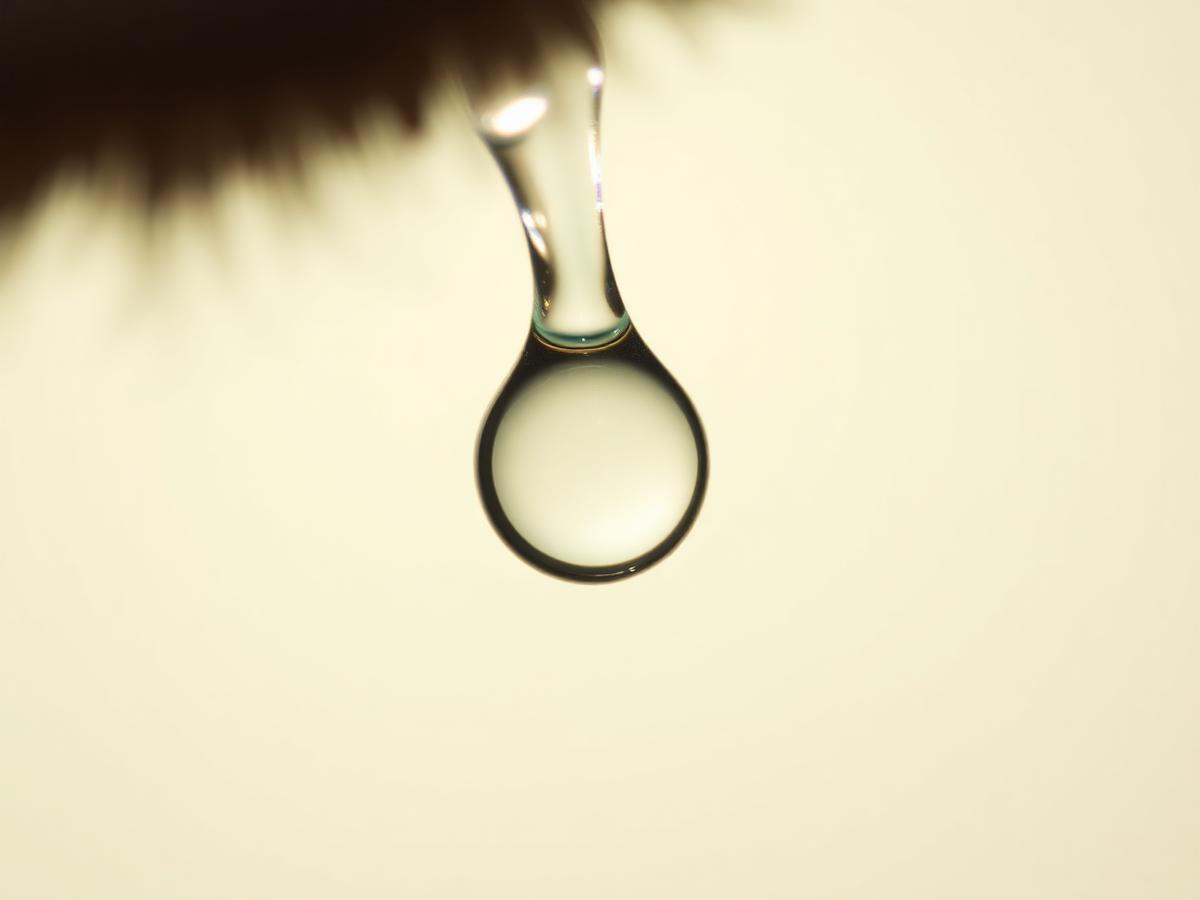 Close-up of a single eye drop